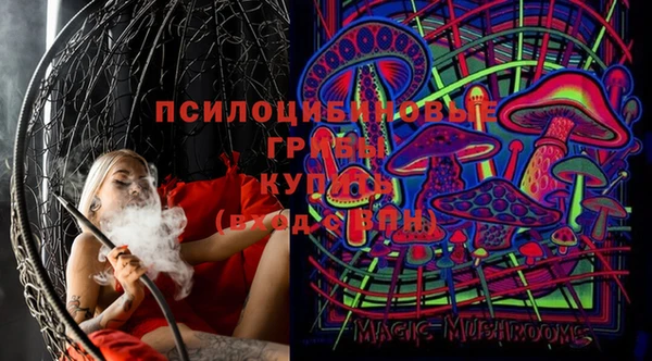spice Алексин