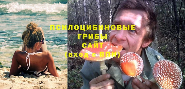 spice Алексин
