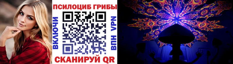 Псилоцибиновые грибы Psilocybe  Чебаркуль 